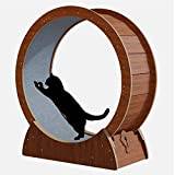 Cat Exercise Wheel Tung Träning med Löphjul för Katter, Katt Löpband - Kaffefärg, Stabilt Pariserhjul för Katter som Går Ner I Vikt, Husdjursleksak med Hamsterhjul (Size : 110cm/43.3")
