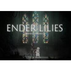 ENDER LILIES EU Steam Altergift