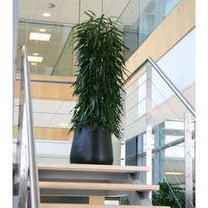 Stor konisk sort eller grå plantekrukke - 2 str.