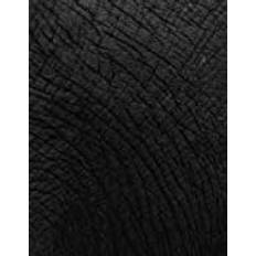 All Black Cover Notebook - Elephant Skin Print - For any day use - Black Notebook: School notebook for kids and teenagers.