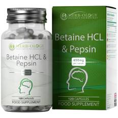 HB Betain HCL | 120 Hohe Festigkeit Betain HCL Pepsin Kapseln - 650mg Betaine Hydrochlorid Pepsin pro Kapsel | Gentechnik-, Gluten- und Allergenfrei