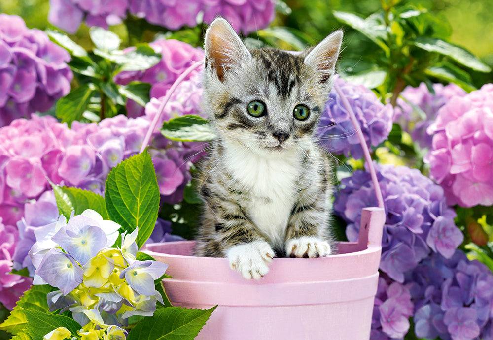 KIDEK pussel - Kitten in Basket, 1500-bitar Default Title