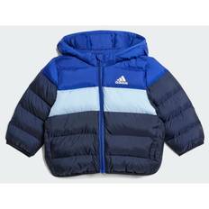 adidas Synthetic Down Jacket (86 cm)