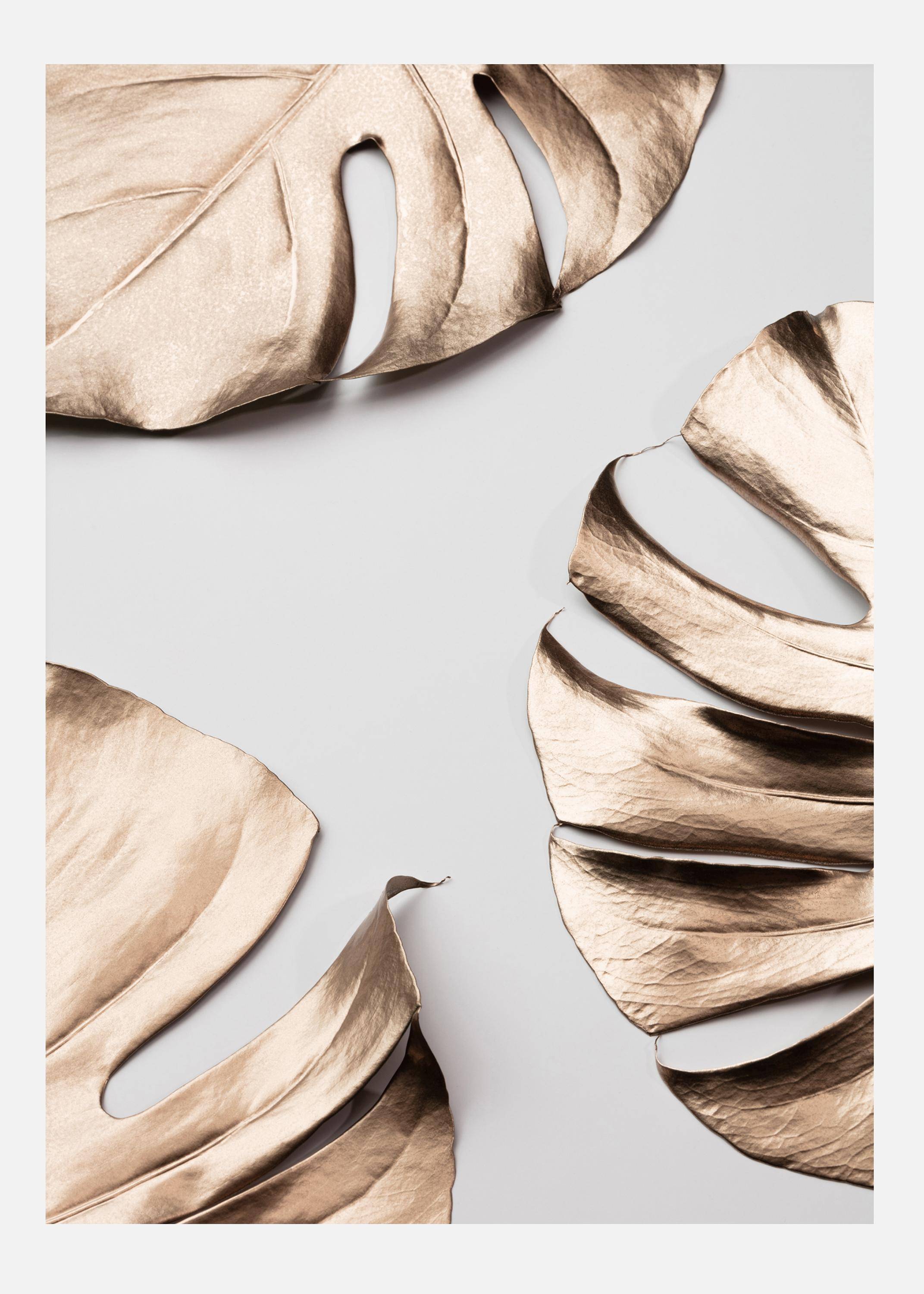 Monstera Gold Canvastavla (70x100 cm)