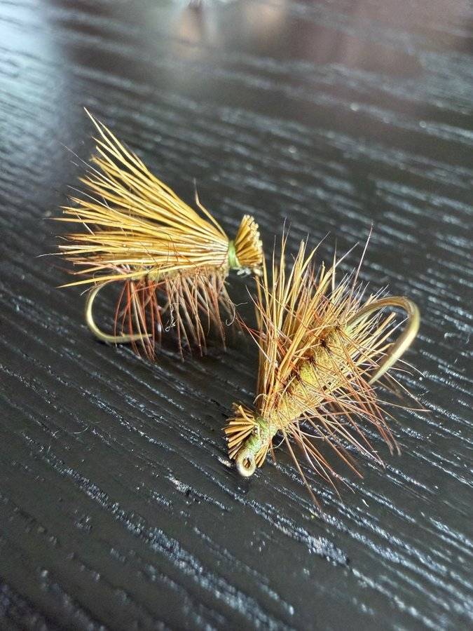 2 stycken Elk hair caddis (Tiemco #12)
