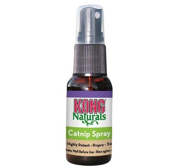 Kong Kattmynta spray