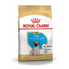 Junior Mops 1,5 kg