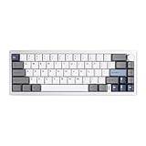 YUNZII AL68 Wireless Mechanical Keyboard,Full Aluminum CNC,60% Layout with Knob, QMK/VIA Software,Gasket Mounted,Hot Swappable,RGB Backlit,BT/2.4G/USB-C for Mac/Win (Silver, Milk v2 Switch)
