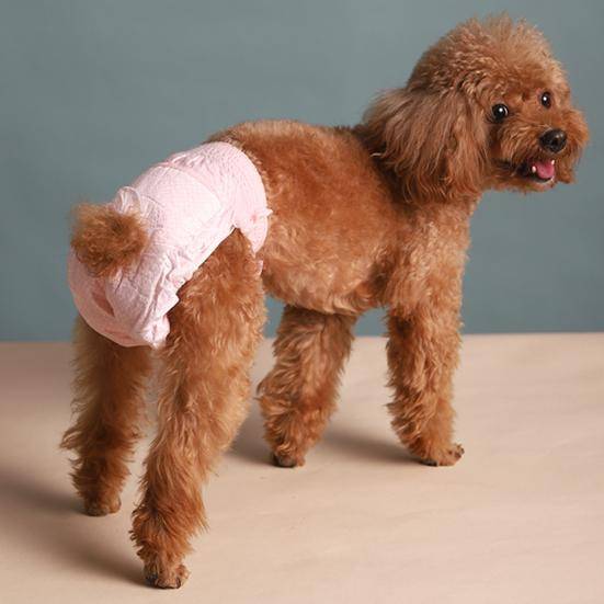 10 st stretchiga hundblöjor med svanshål Superabsorberande läckagesäkra honvalpblöjor för inkontinensvärmeperiodträning
