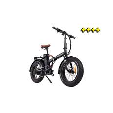 Elcykel Rawbike 250E