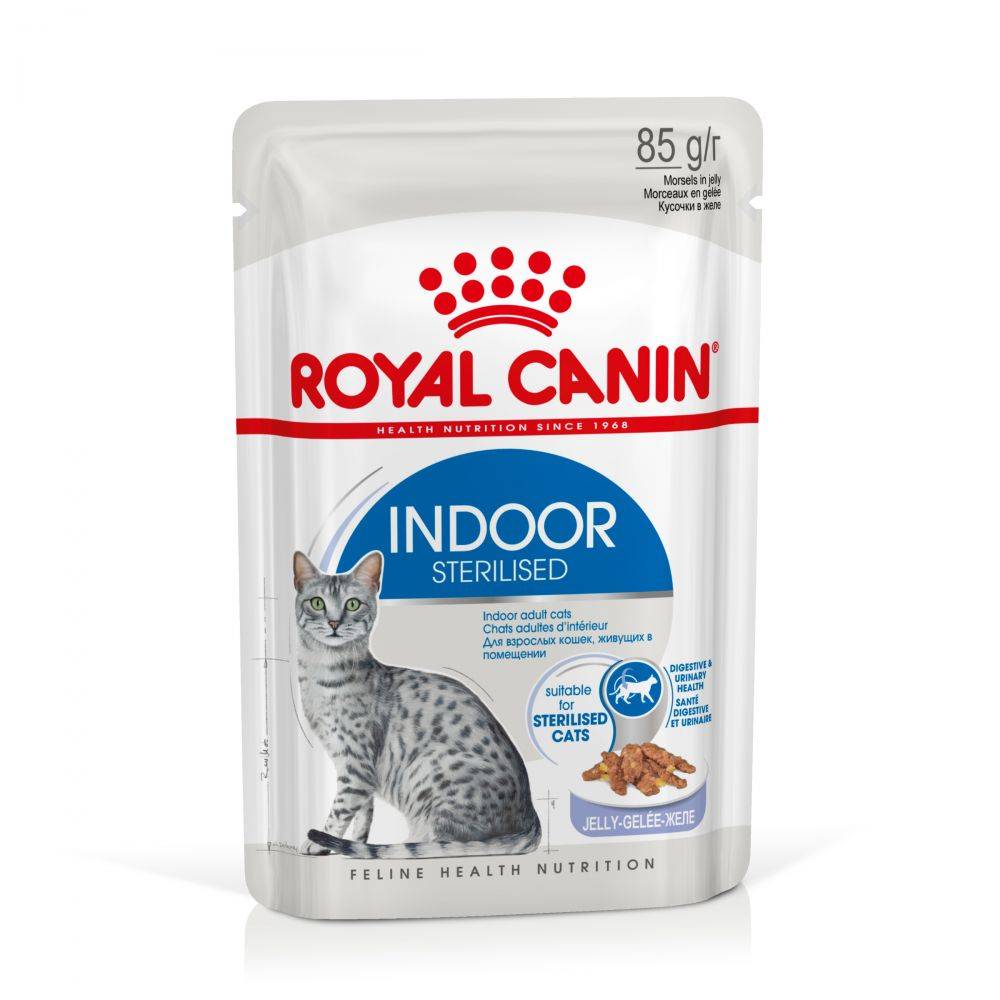 Royal Canin Indoor Sterilised i gelé - 36 x 85 g