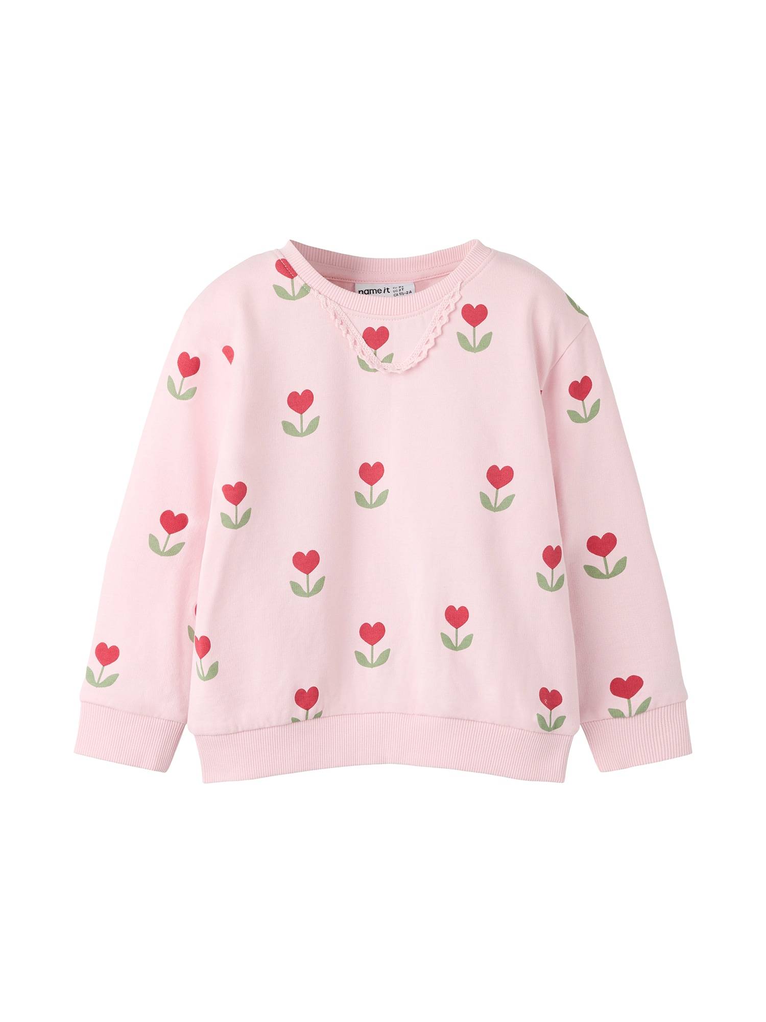 NAME IT Sweatshirt 'NMFNANCY'  lysegrøn / rosé / rød