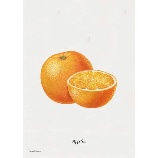 Litografi - Appelsin.