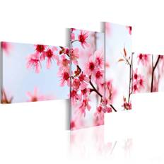 Lærredstryk Beauty of the cherry flowers