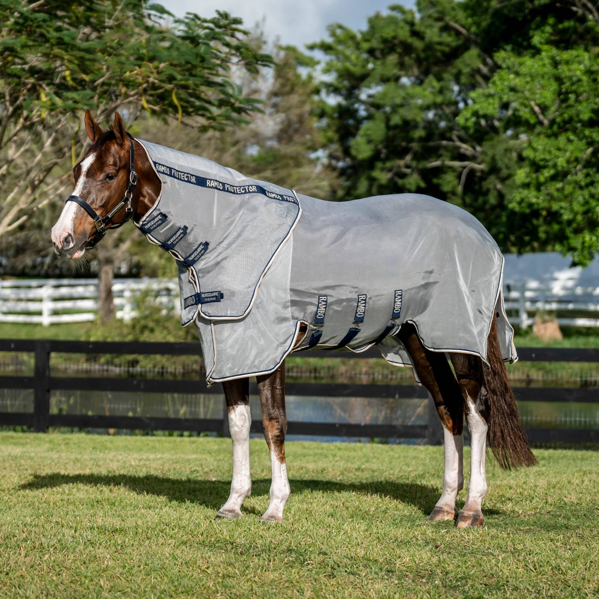 Rambo Protector FieldSafe Plus - Silver/Marin, Horseware