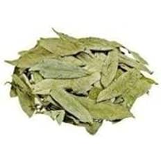 QURA Senna Leaf 50 g x 2 st |Sonamukhi-Patta | Swarnamukhi | Sanaya Leaves