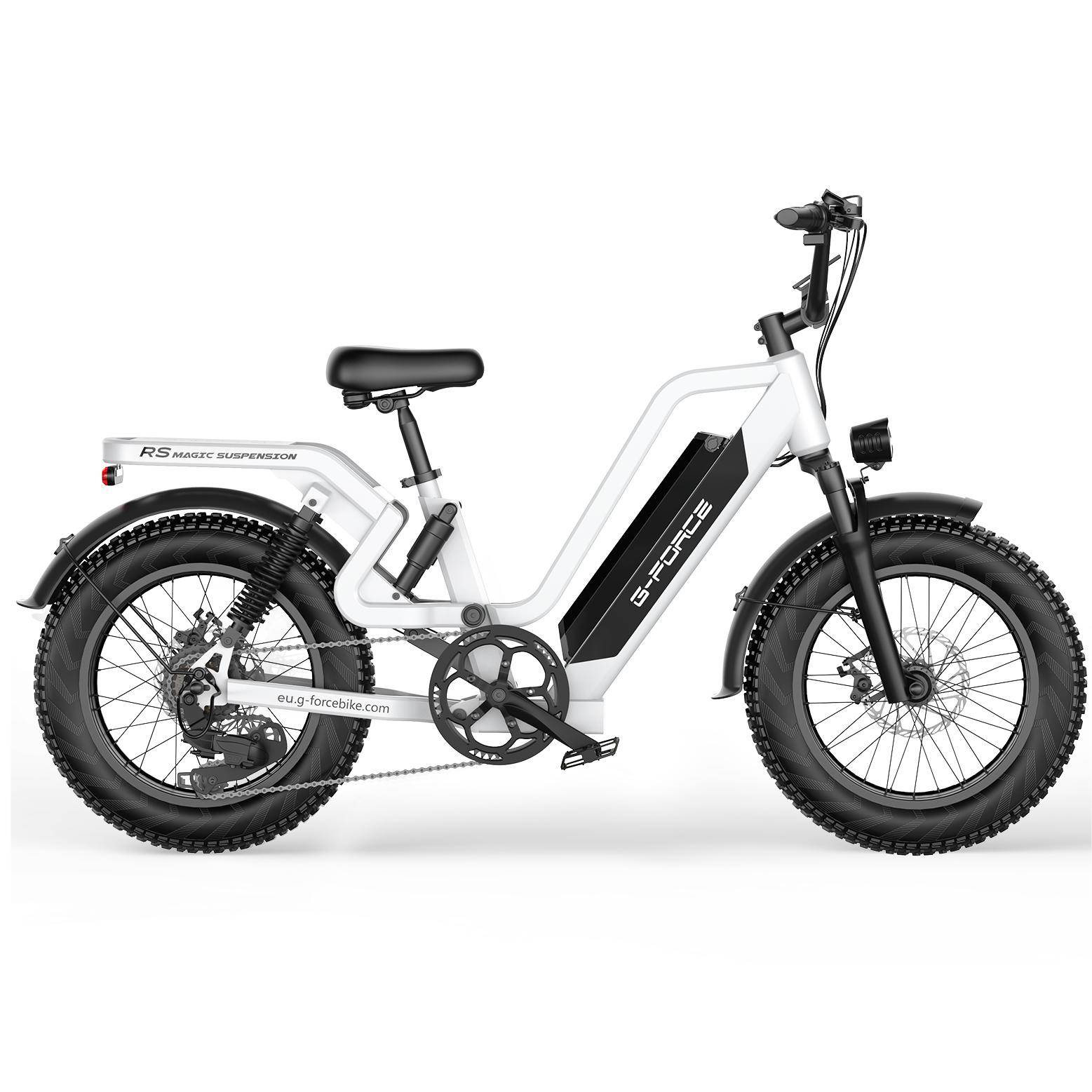 G-FORCE RS ST Adult Electric Bike 750W Motor 48V25AH Battery 20 Inch Tires All-Terrain Off-Road E-Bike for Mountain Beach Snow Urban Commute