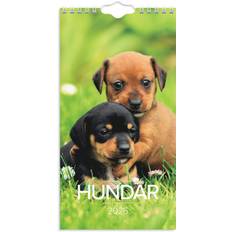 Väggkalender 2026 Liten Hundkalender