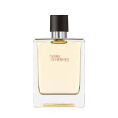 Terre d’Hermès – Eau de Toilette (100ml)