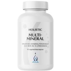 Holistic Multimineral 90 kapslar