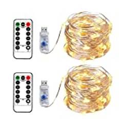 BXROIU 100 LEDs Micro String Lights 10M Silver Wire USB Remote Control 8 Programs Dimming Timer LED Lights for Party Christmas Halloween Wedding Lighting Decoration 2 Pack (Warm White)