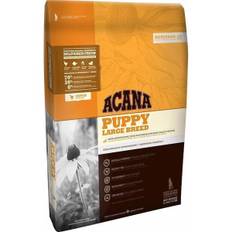 ACANA hundefoder Puppy large breed 11,4 kg