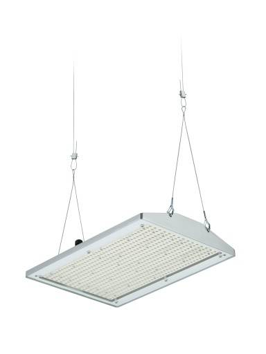 GentleSpace Highbay BY581P 35000lm/840 High Eff. Bredstr WB DALI
