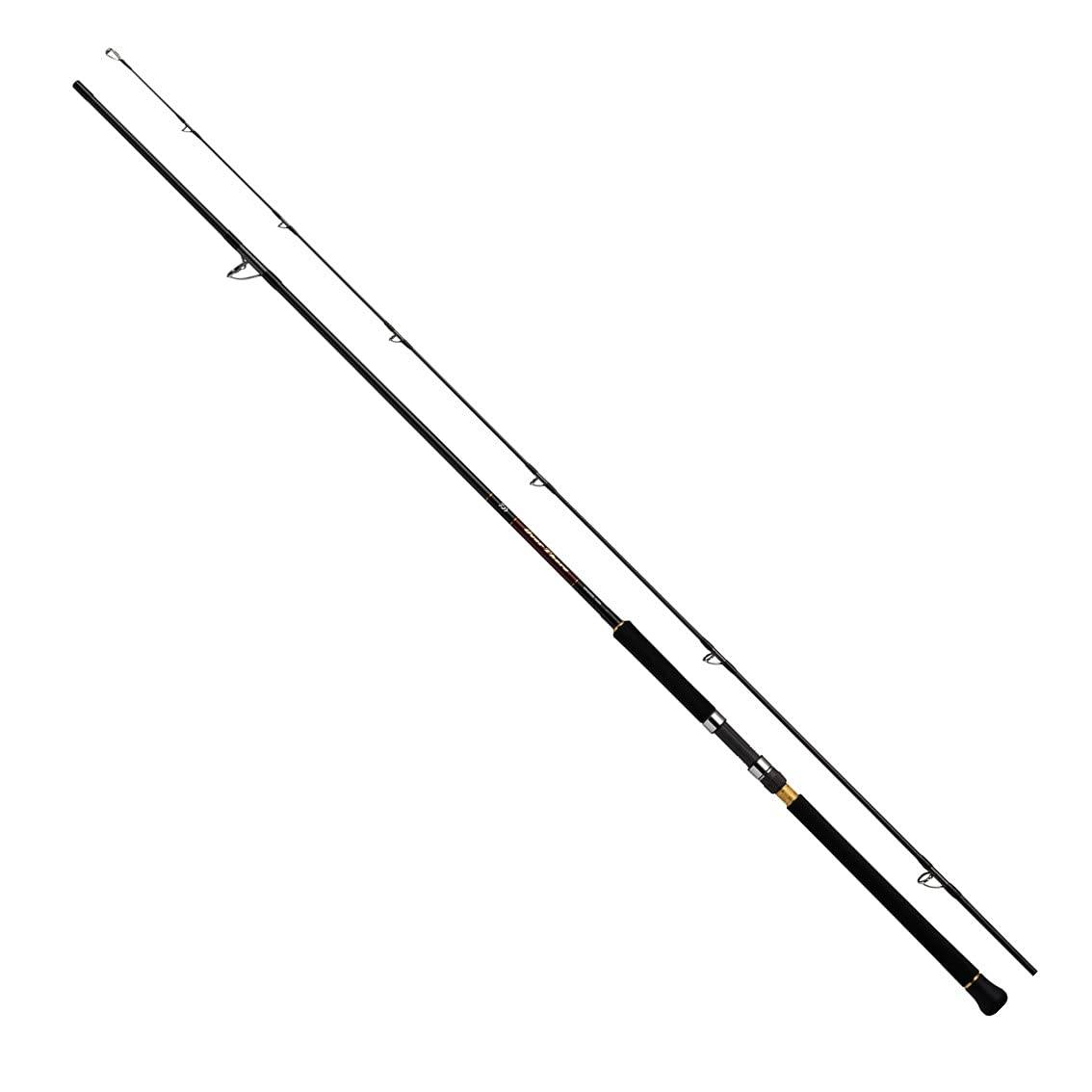 Daiwa 21 Over There Grande 100m Rod