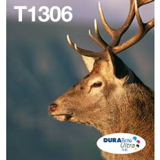 Epson T1306 Multipack Easy Mail Packaging - 3er-Pack