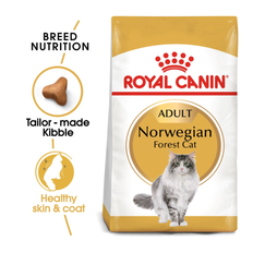 Royal Canin Norwegian Forest Cat 10 kg