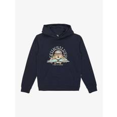Quiksilver Quiksilver Youth Graphic Logo Hættetrøje