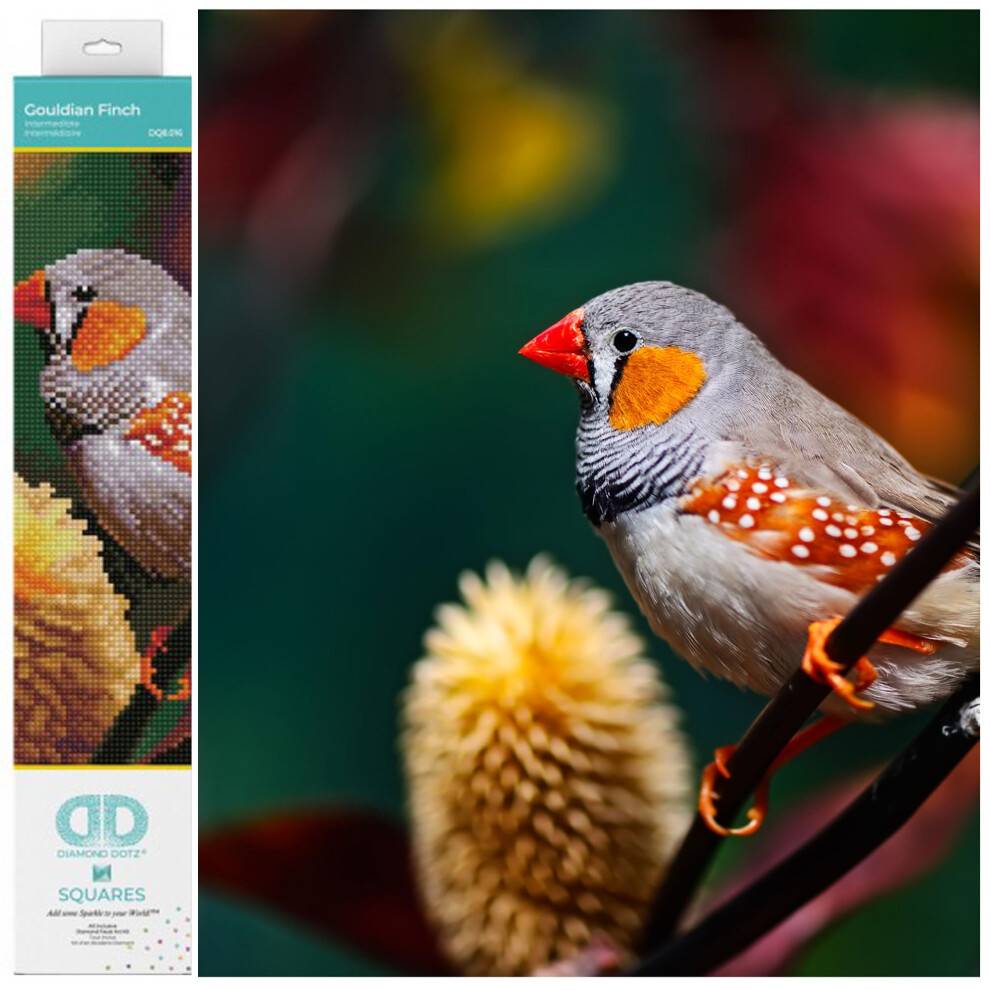 Diamond Dotz Gouldian Finch Diamantmlningssatser fr vuxna - Diamond Art Kits ett avkopplande kreativt hantverkssats med Dotz Gems 12,2x16,1