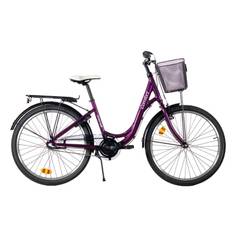 Comfort 24" 3Vxl 2023