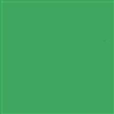 Bakgrundspapper  Greenscreen  2,72 x 11m
