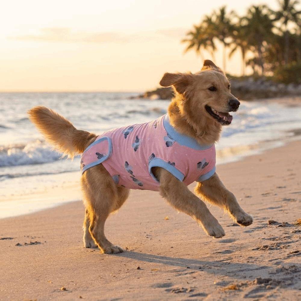 Andningsbar Hund Anti-Lick Jumpsuit Högelastisk Hundblöja Sterilisering Återhämtning