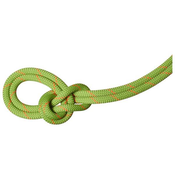 Mammut 9.8 Crag Recycled Classic Rope Helreb størrelse 40 m farve grøn