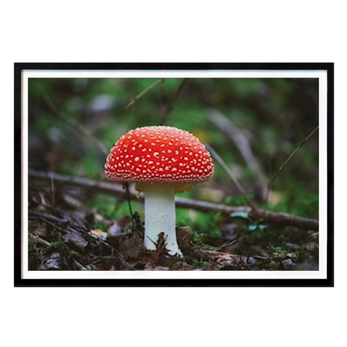Natur Poster: Giftig skönhet av Johanna Vikar
