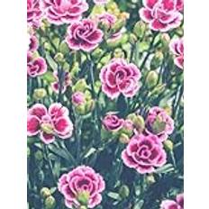 Pink Flower Garden Notebook: 300 Page A4 Lined Paper