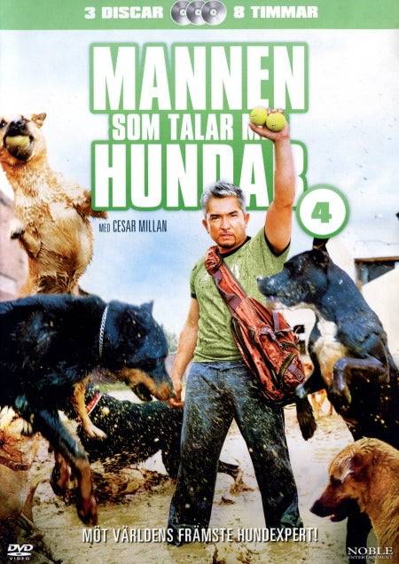 Mannen som talar med hundar # 4 (Beg)