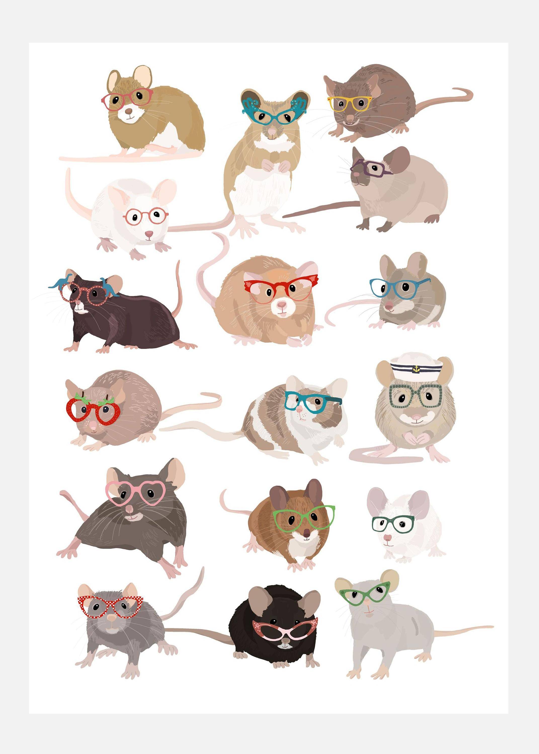 Mice In Glasses Canvastavla (30x40 cm)