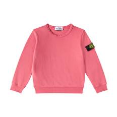 Stone Island Junior Compass cotton jersey sweatshirt - red - Y 14