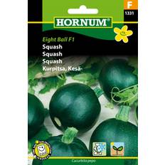 Squash, Eight Ball F1 (F) 1331