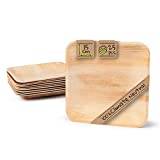 GREENBOX Palmware högkvalitativt palmbladsservis I 25 stycken palmblad tallrik rektangulär 15 x 15 cm I ekologisk engångsservis biologiskt nedbrytbar festservis engångsporslin