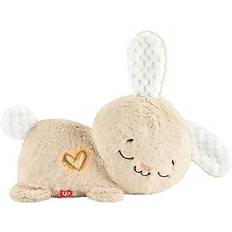 Fisher-Price Soothe & Settle Bunny-speldosa för baby, bärbar mjukisleksak med musik, ljus och rörelser för nyfödda, HXG97