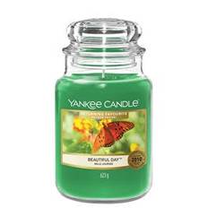 Candela Beautiful Day Giara Grande 623 gr