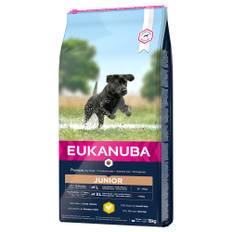 Eukanuba Junior Large Breed Kylling - Økonomipakke: 2 x 15 kg