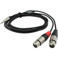 Rean Neutrik 3.5mm TRS Jack to 2 x Female XLR Plugs 1 Metre