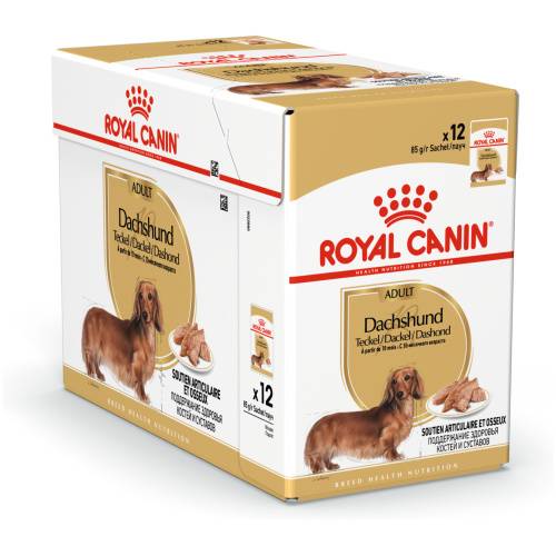 Royal Canin Dachshund Adult WET 12x85g