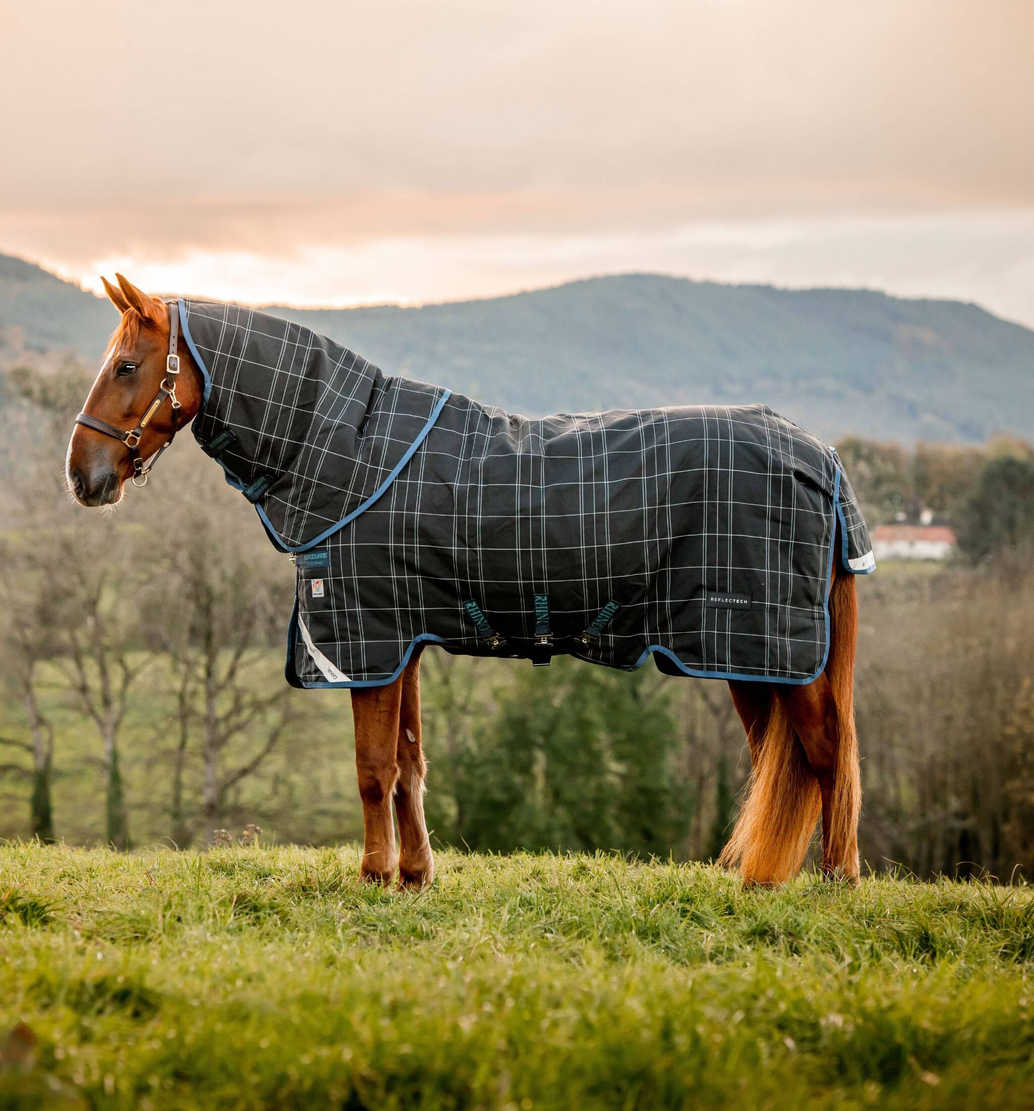 Rhino Plus Refl 250gr - Navy/Indigo, Horseware.