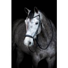 HorseGuard Cryll 24.2 Hannoveransk Trense - PONY